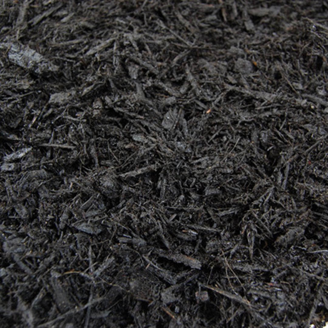 Enhance® Black Bark
