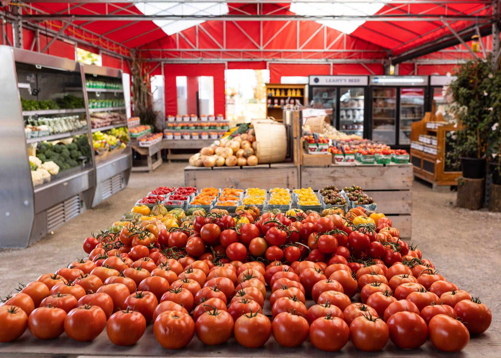 VISIT OUR MARKET